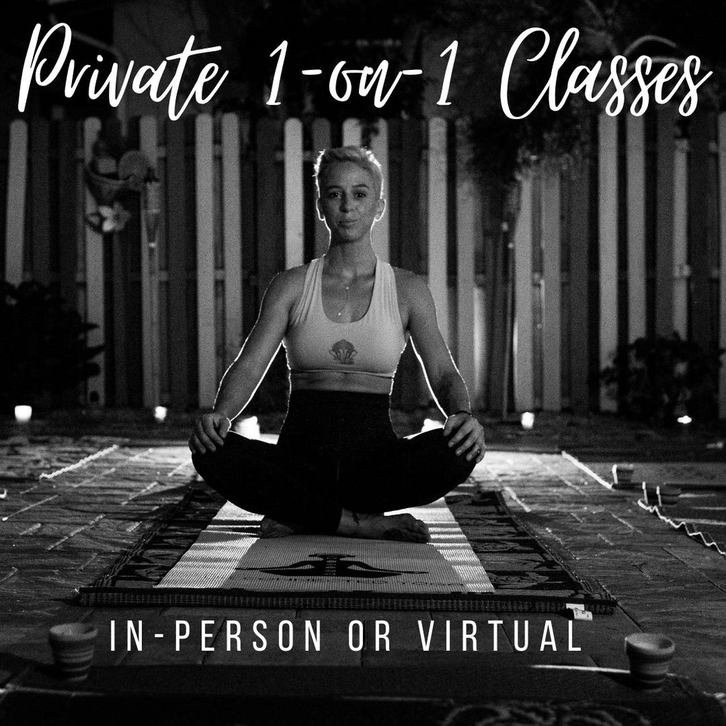 Private 1-on-1 Classes